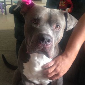 Meet your Posher, Jay